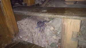 IMG-20150716-WA000