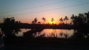 IMG-20150721-WA020