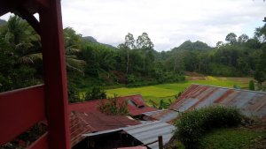 IMG_20150718_160100