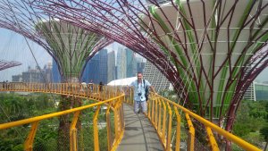 IMG_20150723_103537